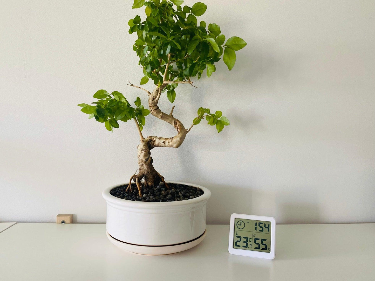 Minimu Skaitmeninis termometras Hygrometer MM02 drėgmės matuoklis